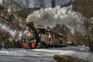 Il treno Mocanita