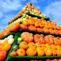 piramida portocalie