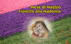 madonnamaggio