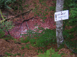 cimitero uccelli